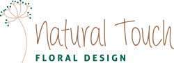 natural_touch_logo_1