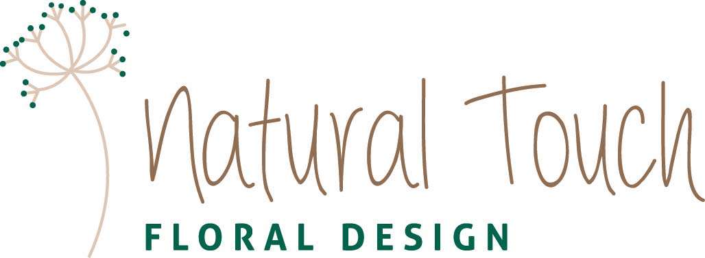 natural_touch_logo_1