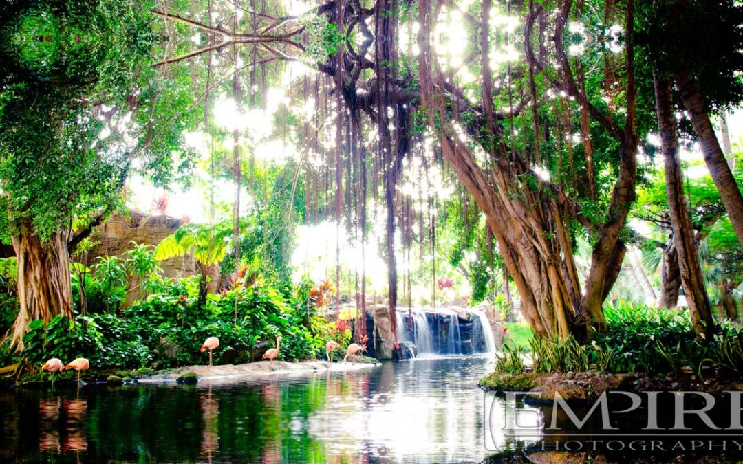 Architecture-&-Landscape-Photography-(29)
